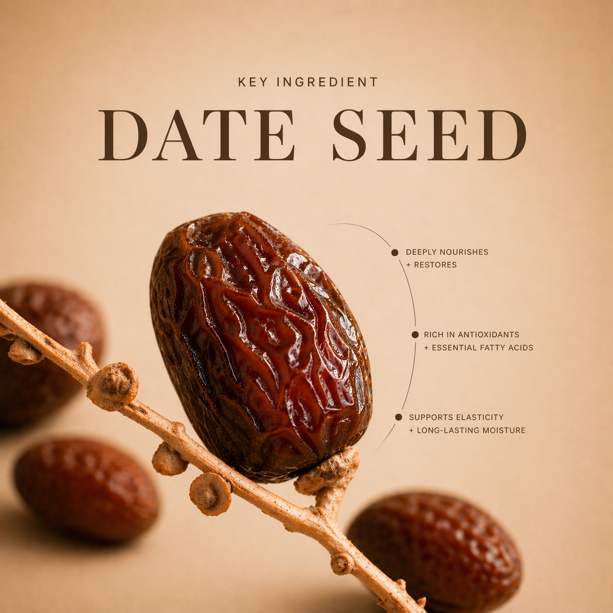 DATE ME Nourishing Oil